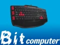 g103.jpg