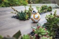 bb8_f.jpg