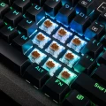 Hammer_RGB_03_brown_1024.jpg