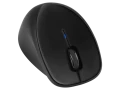 c03256977.png