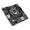 w800 (3).png