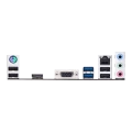 w800 (4).png