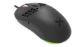 KRX0084_2.jpg