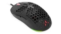 KRX0084_3.jpg