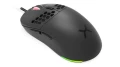 KRX0084_4.jpg