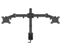 5.webp