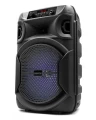 SQUEAK Głośnik Bluetooth 5.3 EDR PulseTower 1000W Funkcja Karaoke SQ1006