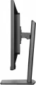 IIYAMA Monitor 32 cali XUB3297QSNP-B1 + Norton Small Business card 250G PL