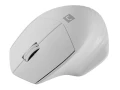 Natec Mysz bezprzewodowa Siskin 2 1600 DPI Bluetooth 5.0 + 2.4GHz, biała