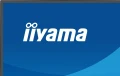 IIYAMA Monitor 27 cali XB2797QSN-B1 IPS/3.7 megapixel QHD, HAS150/ 350cd/1ms/HDMI/Displayport, USBC DOCK 65W, 4USB HUB, RJ45