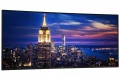 Dell Monitor 52 cale U5226KW IPS 6K 21:9/HDMI/DP/USBC/RJ45/3Y/Curved
