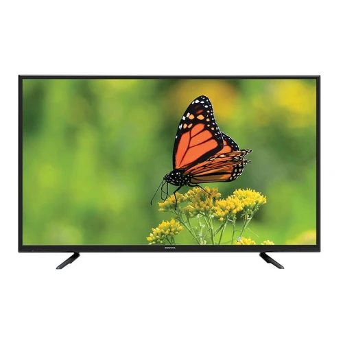 manta tv.jpg