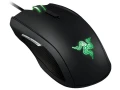 taipan1.jpg
