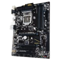 766005_2_f.png