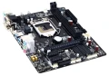 d55e_5.jpg