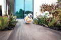 bb8_c.jpg