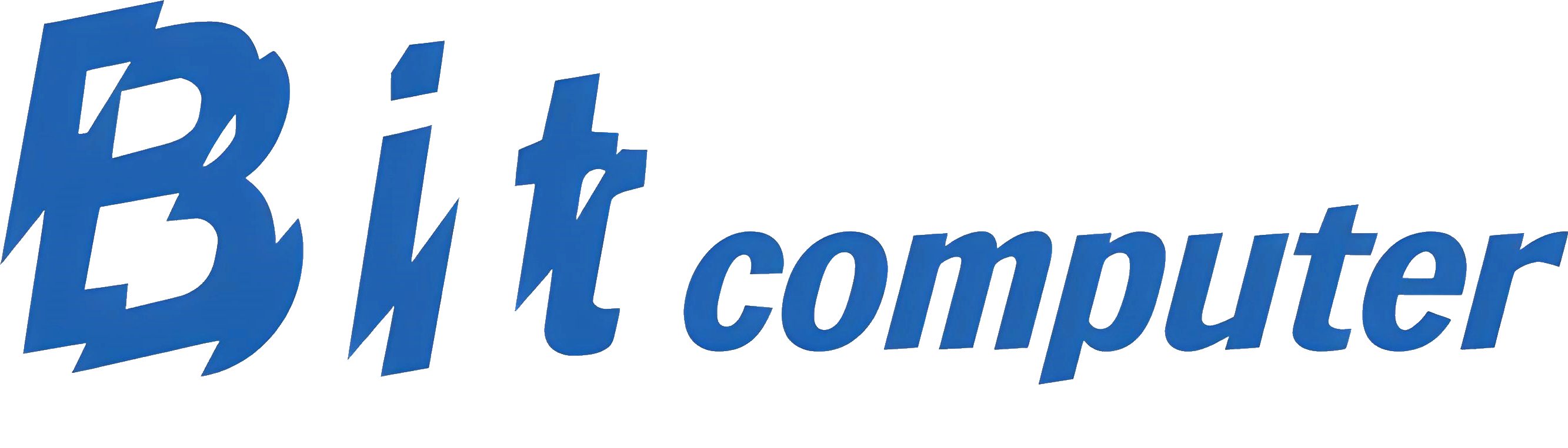 Bit Computer